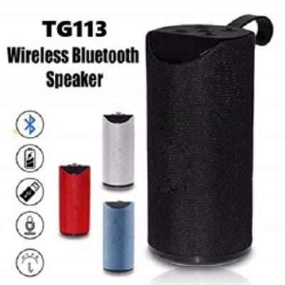 TG113 Bluetooth Speaker